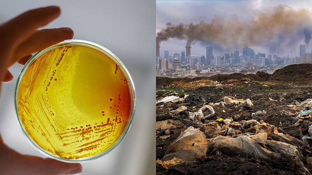 Environmental pollution breeds deadly superbugs. Here’s how we defeat them.